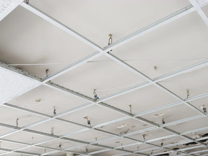 Types of Suspended Ceilings That Can Be Installed Within Budget